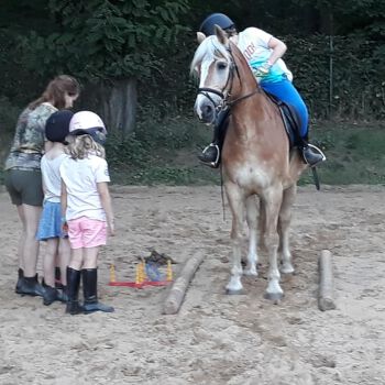 Kindergeburtstag mit Ponys