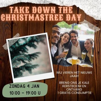 Take Down the Christmastree Day